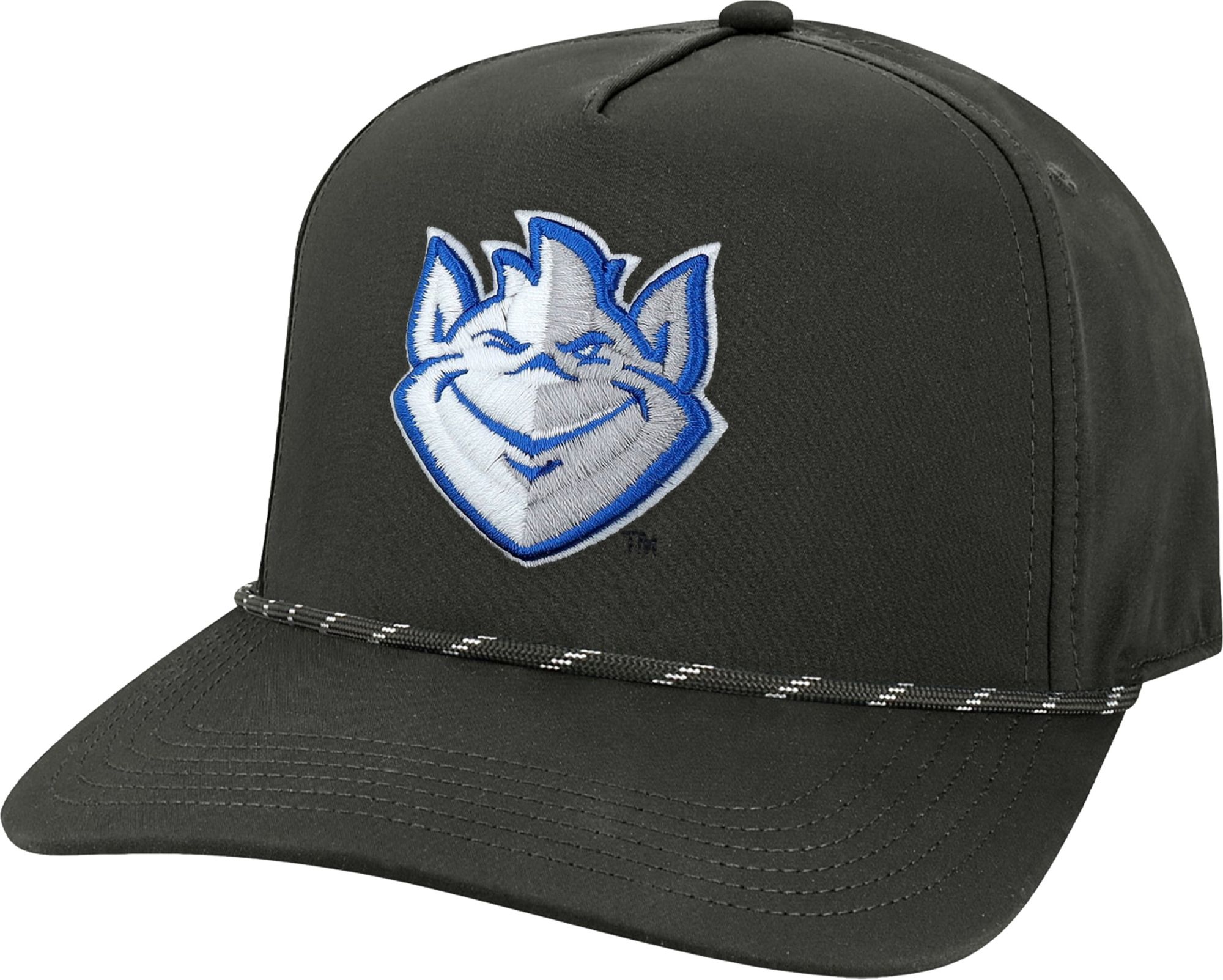 St. Louis Billikens