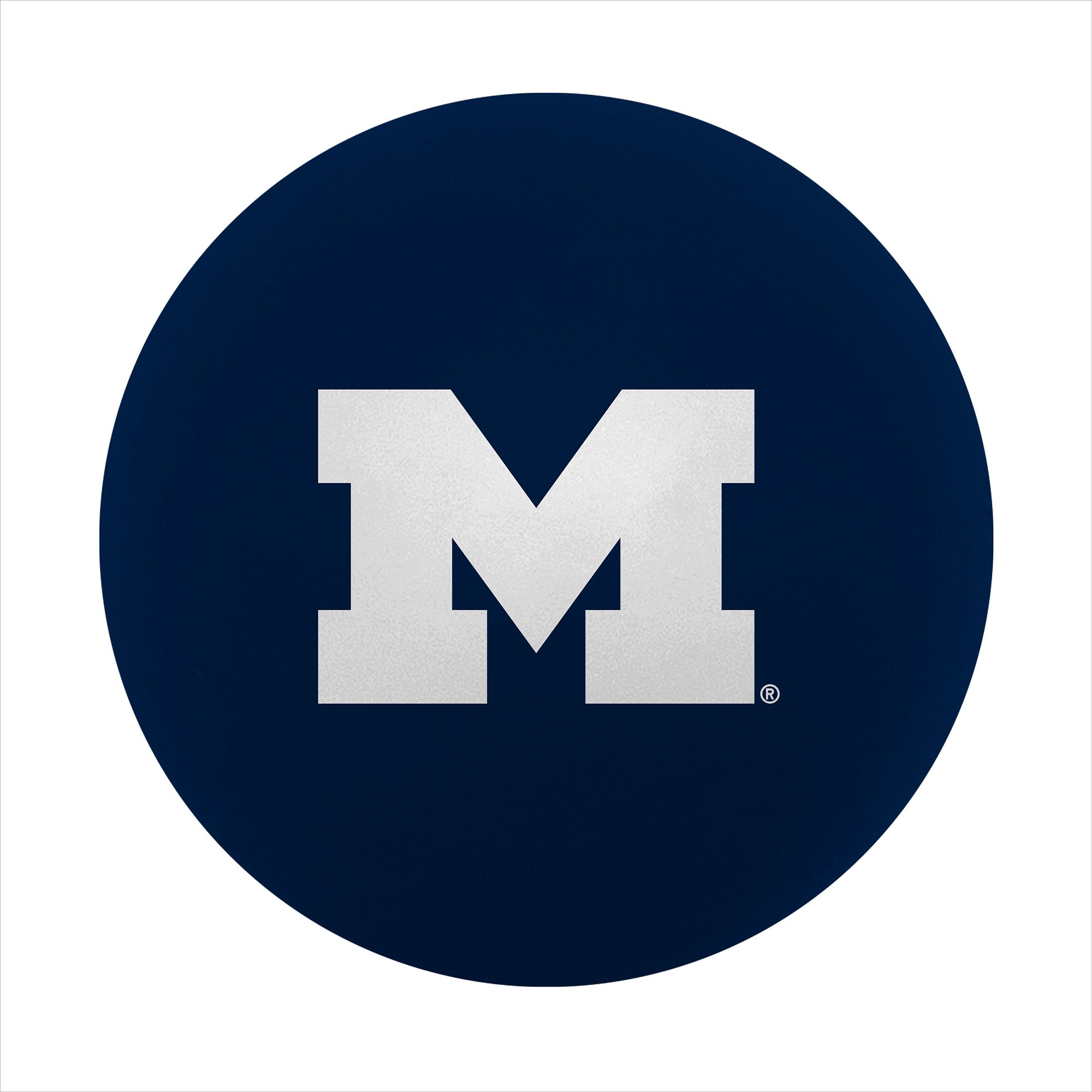 Logo Brands Michigan Wolverines High Bounce Ball