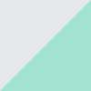 Teal/White