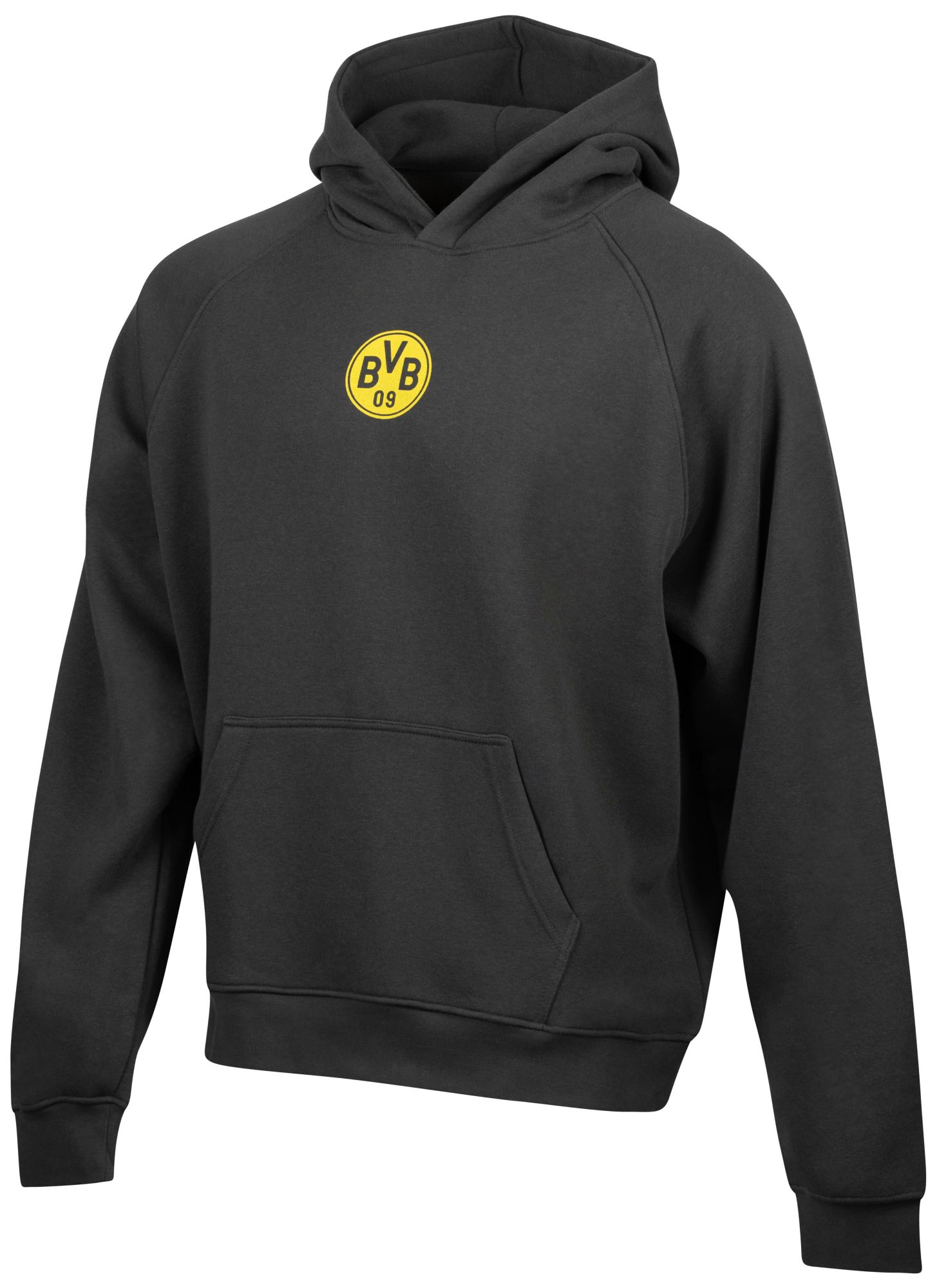 Sport Design Sweden Men's Borussia Dortmund 2023-2024 Dream Black Pullover Hoodie
