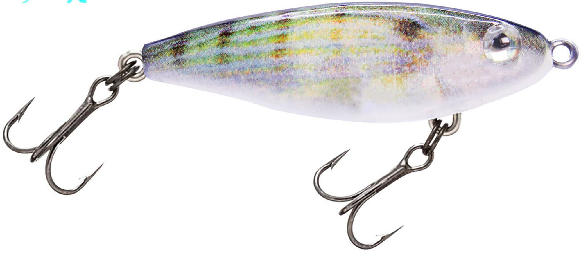 Pinfish