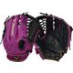 Purple/Black