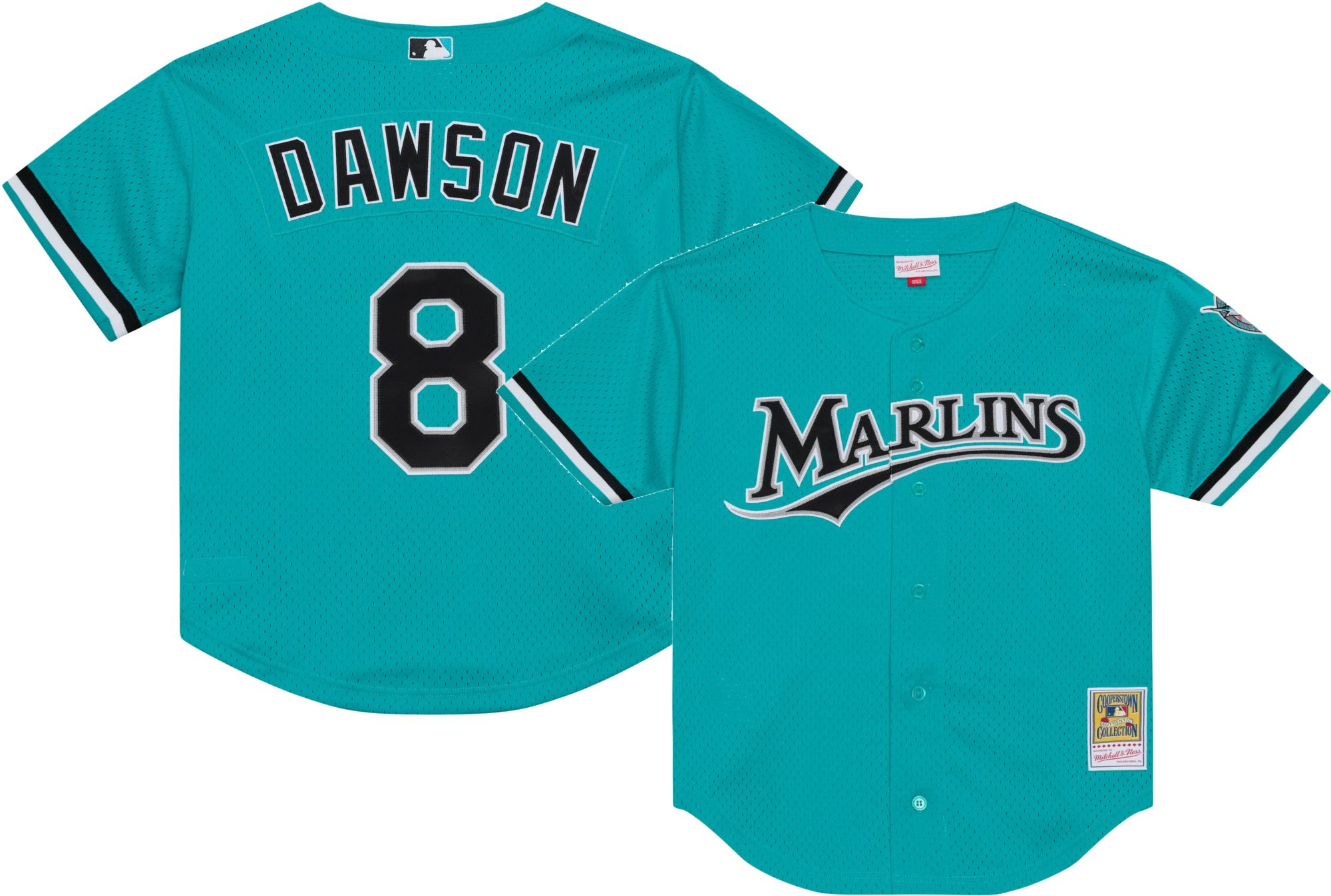Mitchell &amp; Ness Men's Andre Dawson #8 Teal Cooperstown Alternate Mesh Batting Practice Jersey