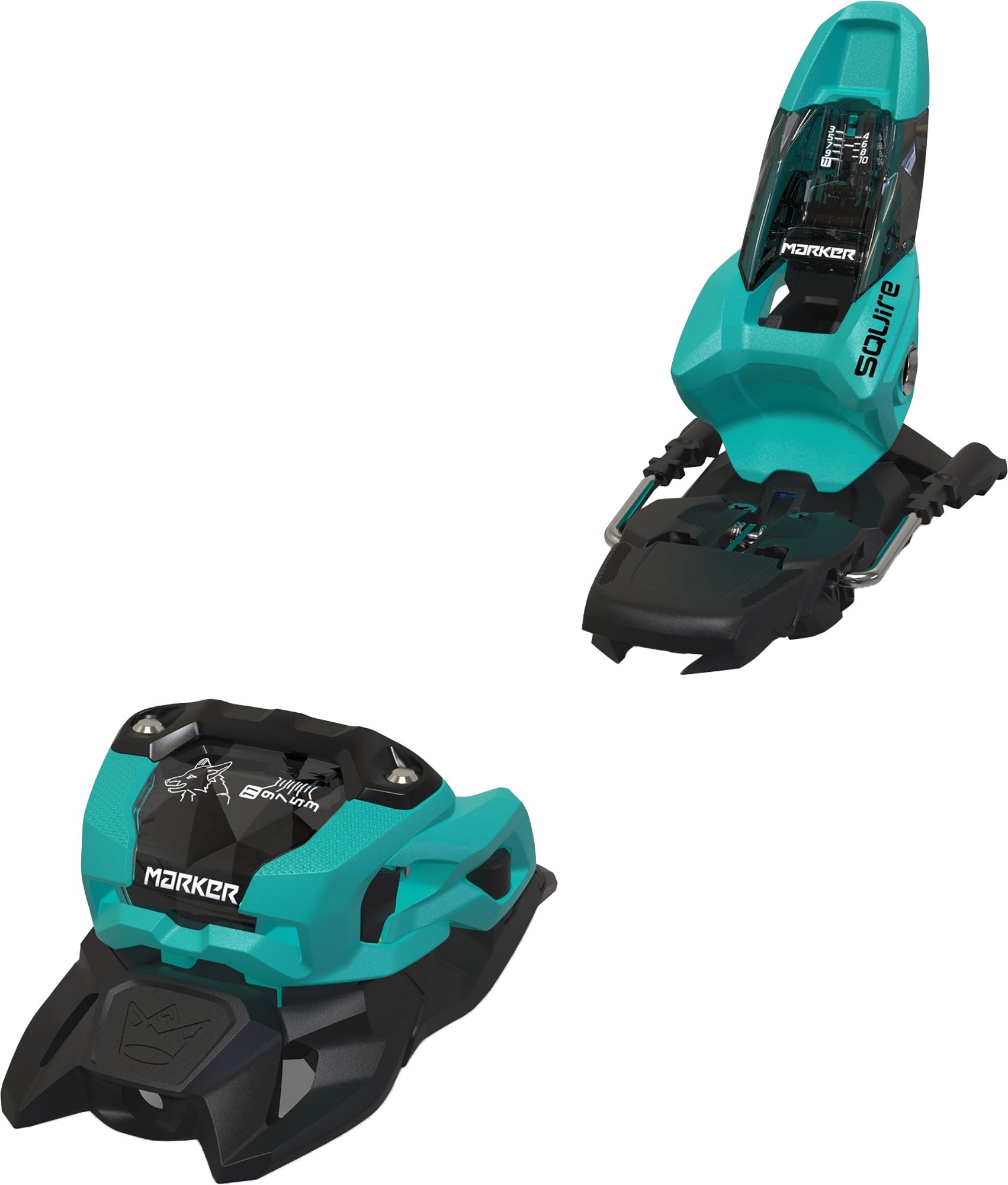 Black/Teal