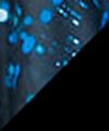 Blue City Lights