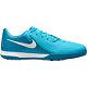 Blue/White
