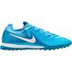 Blue/White
