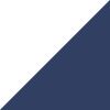 White/Navy/Mtlc Silver