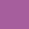 Rush Fuchsia