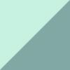 Mint Foam