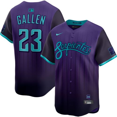 Nike Men's Arizona Diamondbacks Randy Johnson #51 City