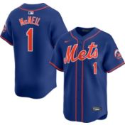 Nike Adult New York Mets 2025 City Connect Grey Francisco