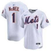 Nike Adult New York Mets 2025 City Connect Grey Francisco