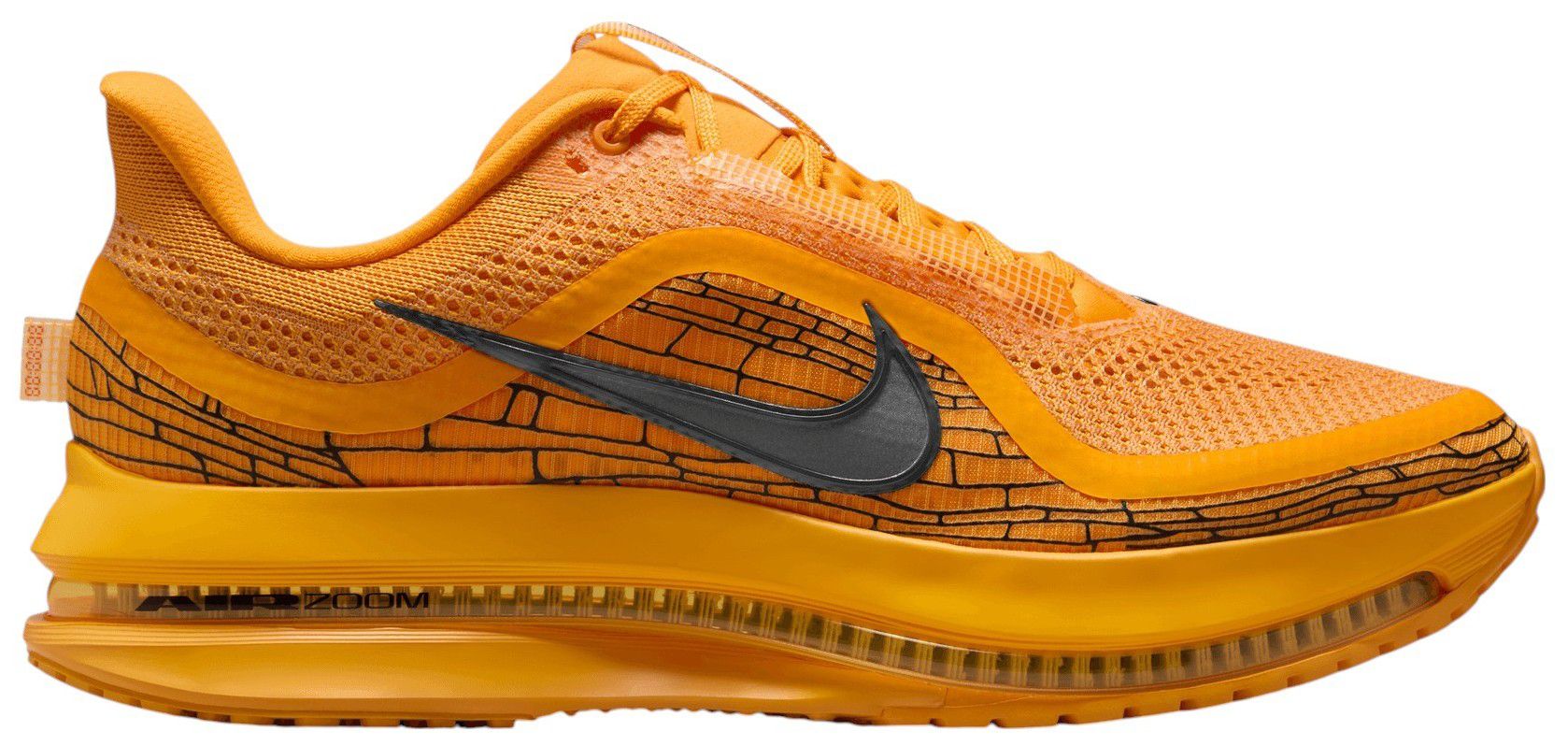 Nike Men's Pegasus Premium Running Shoes