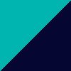Dusty Cactus/Black