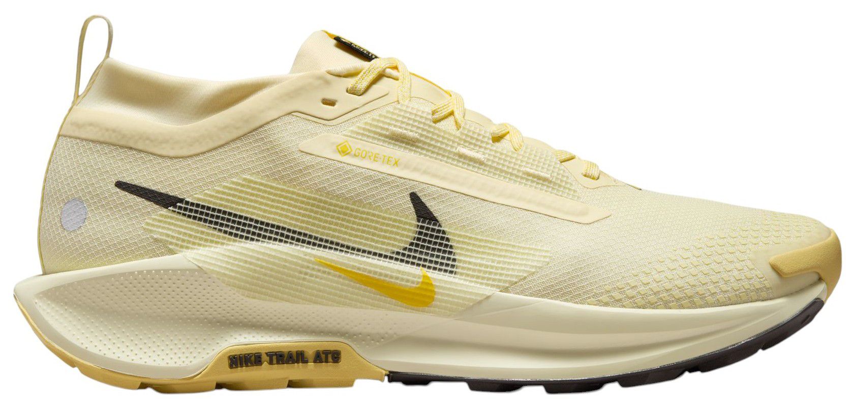 Gore-Tex Running Shoes