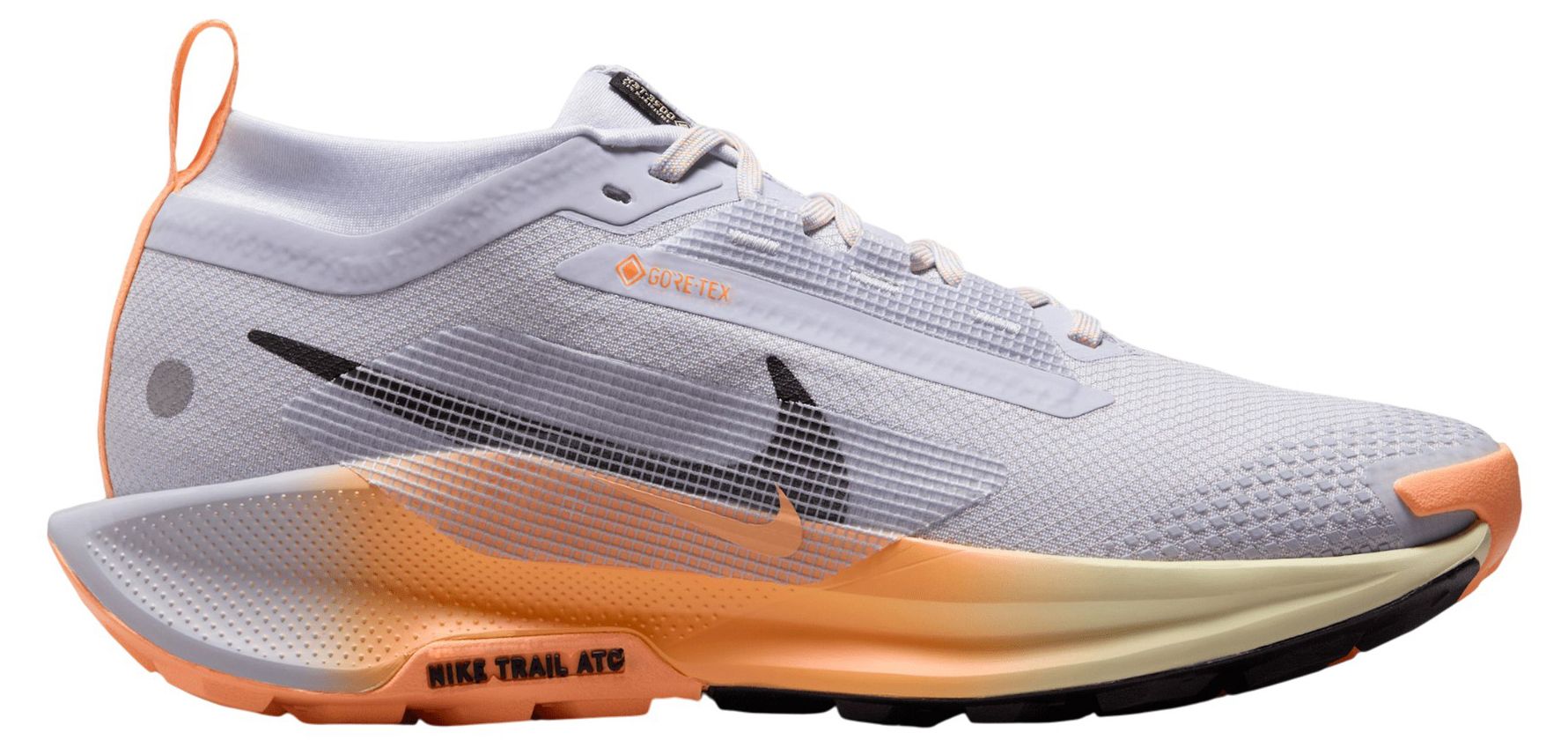 Nike Men's Pegasus Trail 5 GORE-TEX Running Shoes