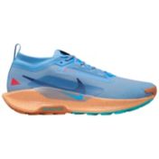 Nike Men's Pegasus 41 'Eliud Kipchoge' Running Shoes