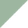 Steam/Black Spruce/Spruce Aura/Off White