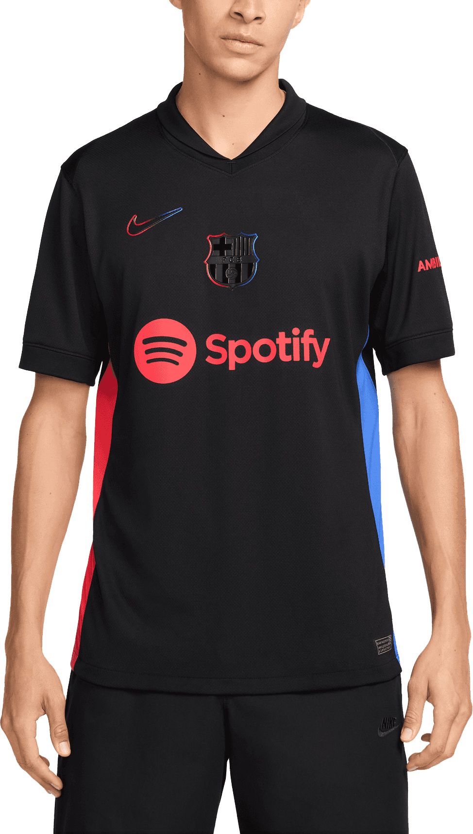 Nike Adult FC Barcelona 2024-2025 Away Replica Jersey