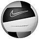 Black/White/Metallic Slvr