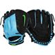 Black/Blue