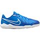 Blue/White