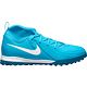 Blue/White
