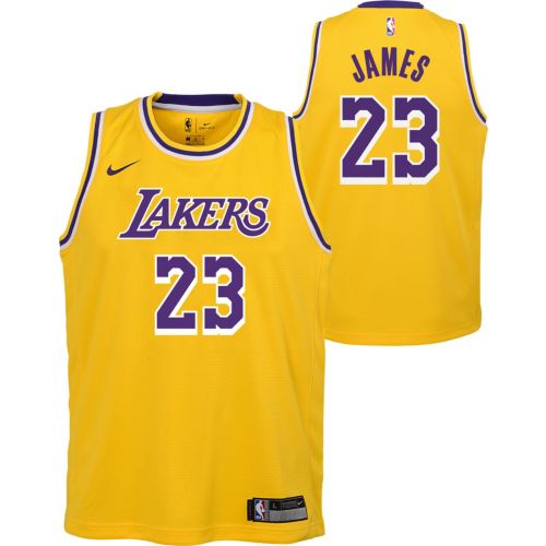Nike Youth Los Angeles Lakers LeBron James #23 Icon Jersey