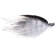 Crappie