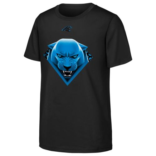 Panthers Team Carolina Panthers Performance Shirt Men's Nike
