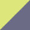 Chameleon
