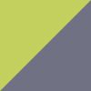 Chameleon