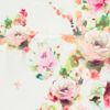 Rose Garden