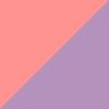 Neon Peach