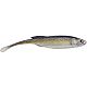 Black Shad