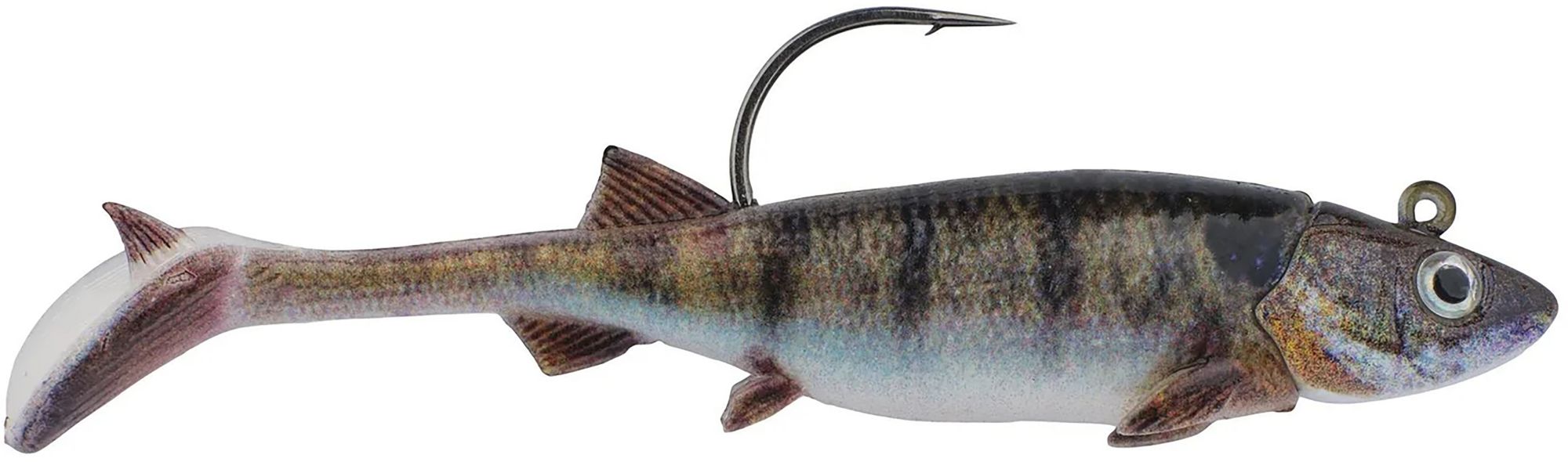Bluegill