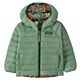 Saw See Owl/Cascade Green