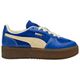 Blue/Tan