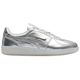 Silver/Silver
