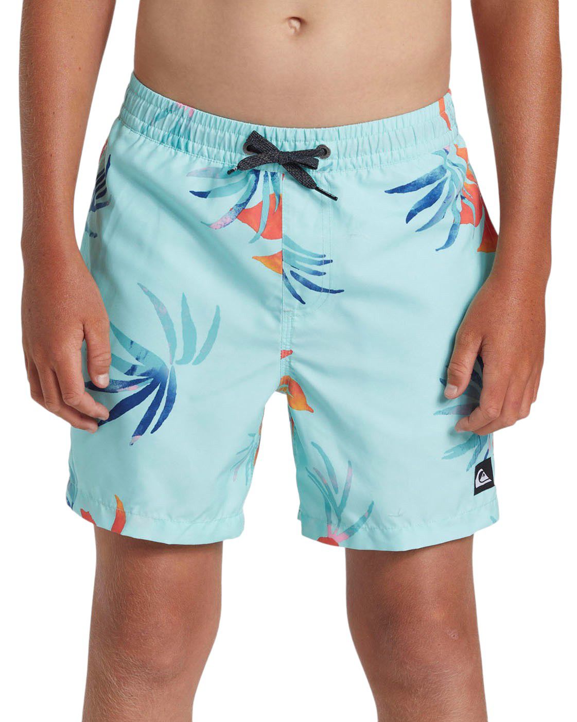 Quiksilver Boys' Everyday Mix 14” Elastic Waist Volley Shorts