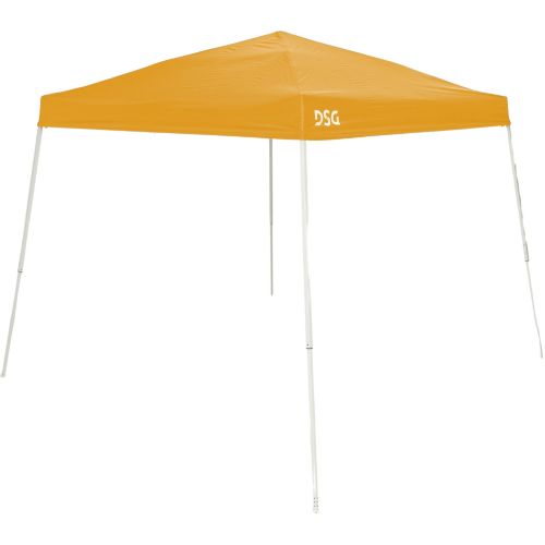 DSG 10' x 10' Slant Leg Canopy