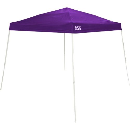 DSG 10' x 10' Slant Leg Canopy