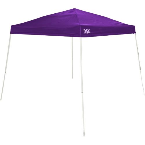 DSG 10' x 10' Slant Leg Canopy
