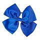 Team Royal Blue