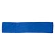 Team Royal Blue