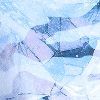 Ice Camo Print