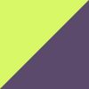 Purple/Lime