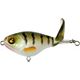 Perch