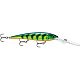 Antifreeze Hot Shad
